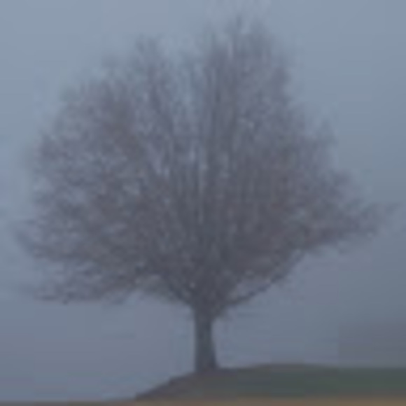 Meet your Posher, Michael - Picture 1 of 1